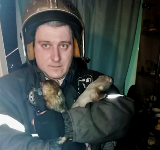 На Севастопольском проспекте пожарные спасли женщину и её ручных хорьков