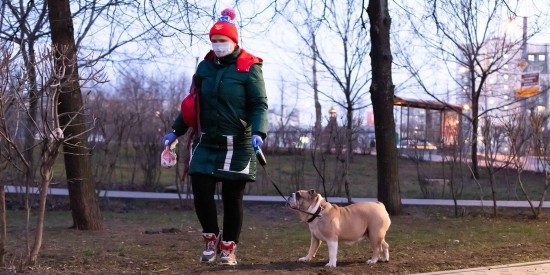 Волонтёры Москвы ежедневно выгуливают 120 собак московских пенсионеров