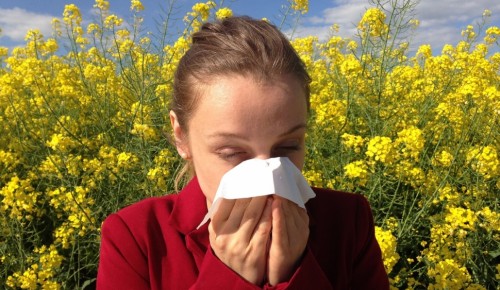 Защитные маски могут помочь в сезон аллергии 