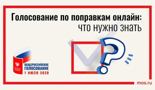 Электронное голосование поможет москвичам сэкономить время 