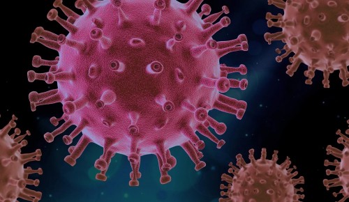 Депутат Мосгордумы: Создание вакцины от COVID-19 ускорит формирование коллективного иммунитета