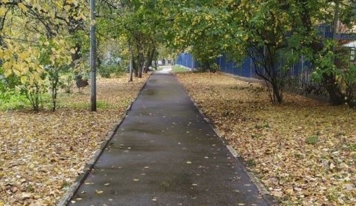Коммунальщики убрали опавшую листву в районе Севастопольского проспекта