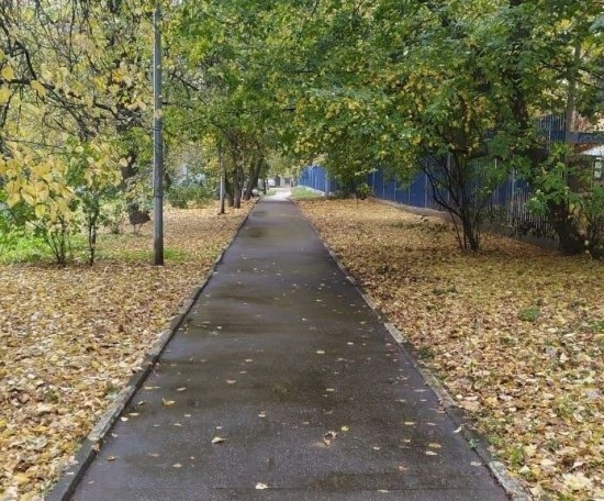 Коммунальщики убрали опавшую листву в районе Севастопольского проспекта