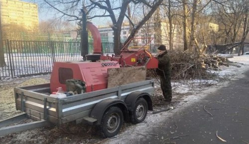На улице Винокурова проходит санитарная обрезка деревьев