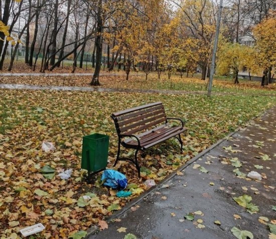 Власти и коммунальные службы Котловки призвали жителей не сорить на газонах и в скверах