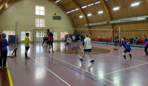Команда по волейболу района Ломоносовский попала в тройку лучших 
