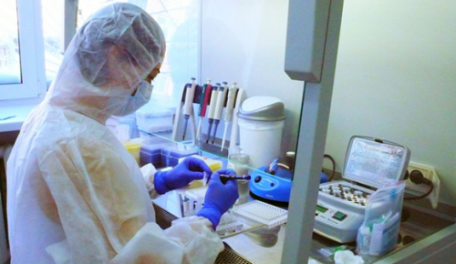 В Москве создано 9 лабораторий для исследований тестов на коронавирус