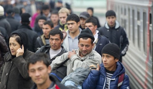 В Москве в четыре раза снизилось количество организации нелегальной миграции