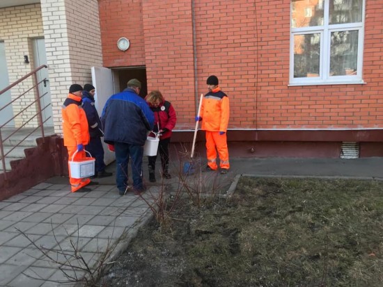 Работы по избавлению от грызунов прошли на территории Ломоносовского района