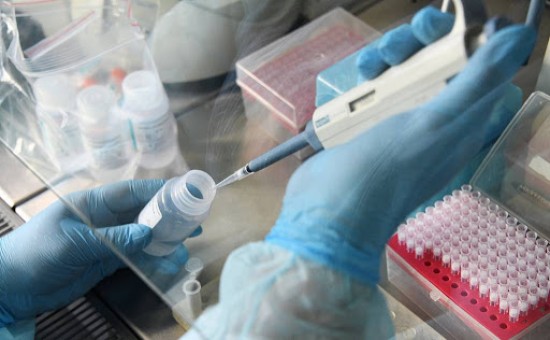 За неделю лаборатории Москвы сделают 13 тыс анализов на коронавирус
