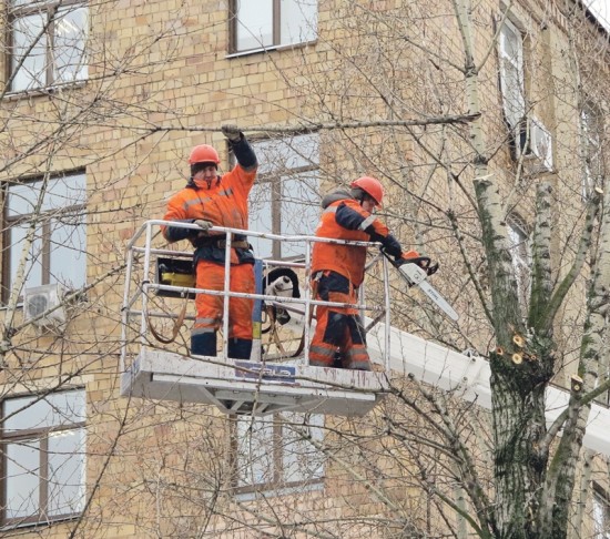 На улице Гарибальди убрали упавшее дерево