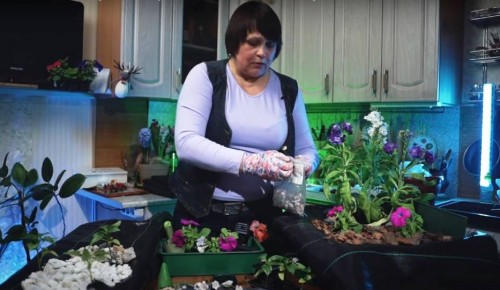 "Московское долголетие" приглашает жителей района на видеоурок по садоводству