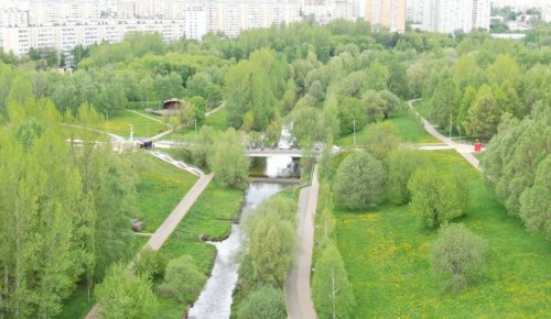 Депутат Мосгордумы: Озеленение городских территорий является одним из важнейших акцентов благоустройства