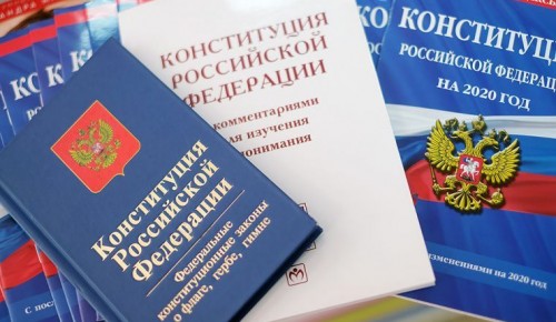 Депутат Мосгордумы Николаева отметила необходимость «детских» поправок в Конституцию