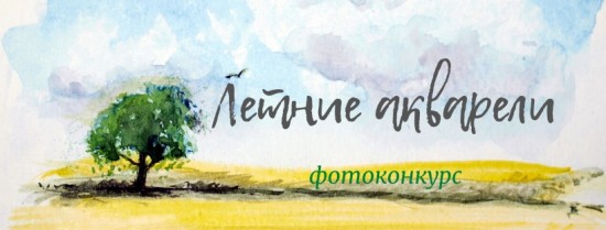 Ломоносовцы могут принять участие в летнем фотоконкурсе