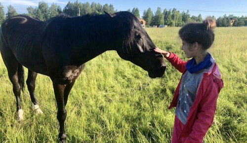 В Свято-Софийском социальном доме рассказали про адаптационные поездки