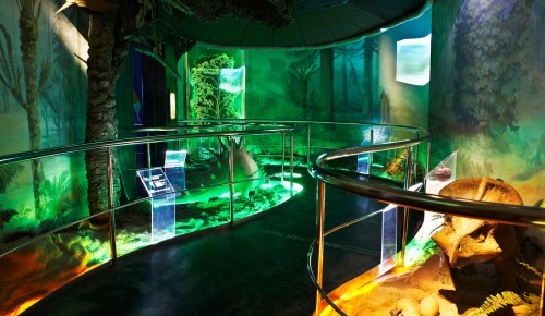 Каждый 50-тысячный посетитель сможет в течение месяца посещать Дарвиновский музей бесплатно