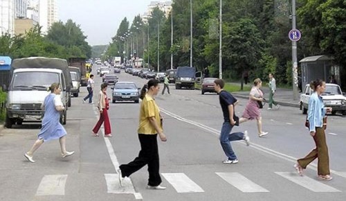 В приложении "Транспорт Москвы"появятся функции для пешеходов