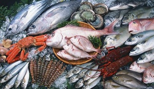 Спрос на рыбу в торговых сетях за время фестиваля заметно вырос