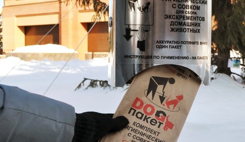 Урны для собачьих отходов установят в Ломоносовском районе