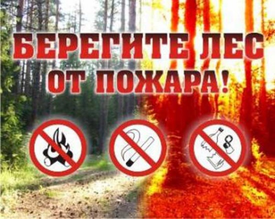 Предупреждение лесных и торфяных пожаров