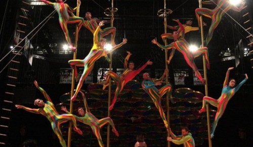 Концерт «Мы любим цирк!» пройдет в ЦКИ "Меридиан" 28 мая