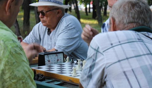 Воронцовский парк приглашает жителей старшего возраста на занятия по шахматам