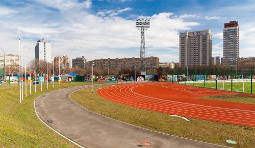 На Воробьевых горах прошел легкоатлетический кросс