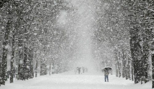 За три дня снежный покров в Москве вырастет на 8 сантиметров. 