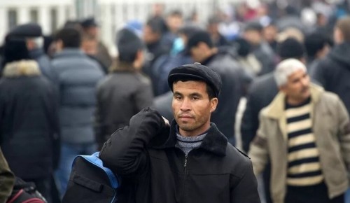 Поступления от трудовых мигрантов в бюджет Москвы за 2019 год выросли на 5,2% 