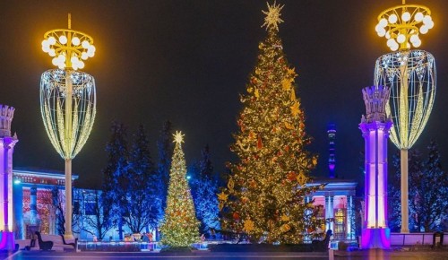 Кукольные спектакли ждут москвичей и гостей столицы сегодня на фестивале «Путешествие в Рождество»