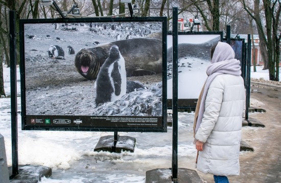До 22 февраля будет открыта фотовыставка в Воронцовском парке 