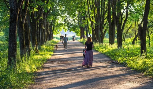 В Москве отмечено самое низкое число новых случаев COVID-19 за два месяца