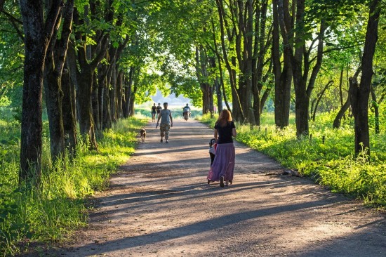 В Москве отмечено самое низкое число новых случаев COVID-19 за два месяца