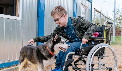 Собаки помогают реабилитации детей с инвалидностью