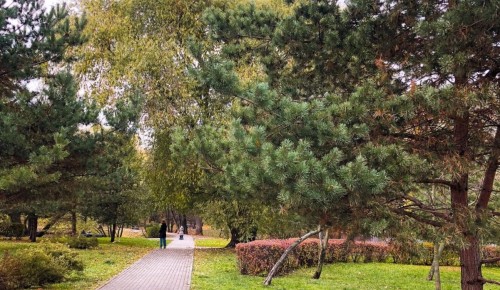Парк «Усадьба Воронцово» рассказал об истории совхоза на территории усадьбы