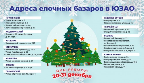 Елочные базары откроются почти во всех районах юго-запада Москвы