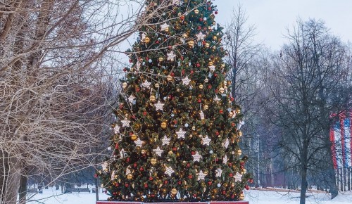 В парке «Усадьба Воронцово» расскажут, откуда взялись персонажи Нового года: Дед Мороз и Снегурочка