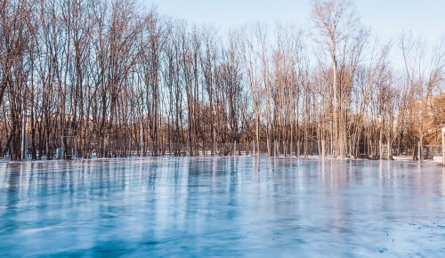 В Воронцовском парке открылся каток с естественным льдом