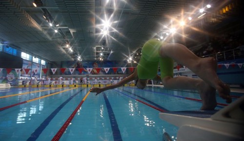 Пловцы «Самбо-70» на Всероссийском турнире завоевали 4 награды