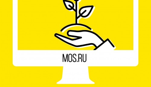 На mos.ru можно подать заявку на именное дерево