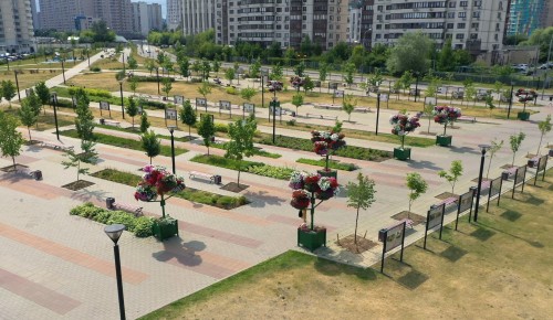 Парк 70-летия Победы в Черемушках приглашает на онлайн-экскурсию