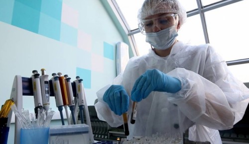 Москва проводит самое крупное в мире тестирование на антитела к COVID-19