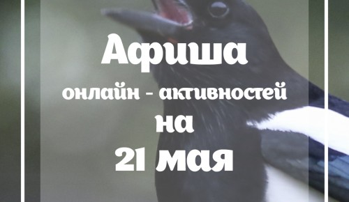 Экологические ребусы и видеозагадки: какие активности подготовила Мосприрода в четверг