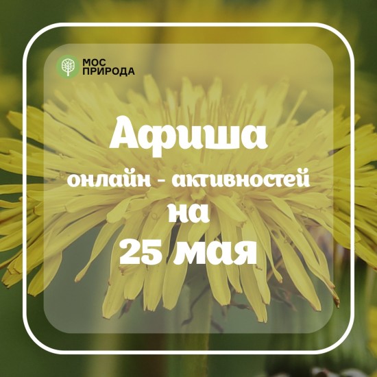 «Как рождается нектар» и «Угадай эмодзи»: какие активности подготовила Мосприрода в понедельник