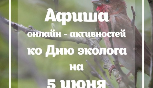 «Птичка из фетра» и «Шерстяное диво»: какие активности подготовила Мосприрода в пятницу