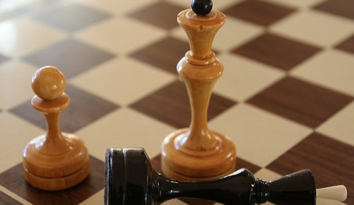 Юный шахматист из центра «Исток» на своих первых соревнованиях показал отличный результат