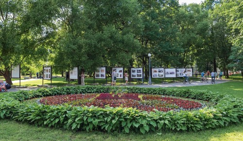 Воронцовский парк приглашает москвичей к участию в юмористическом проекте 