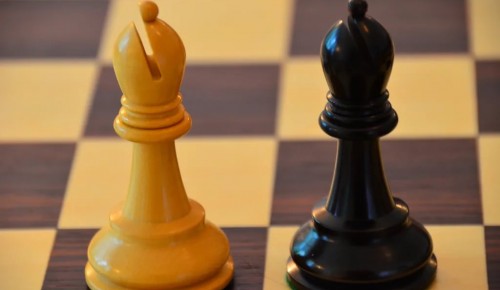 «Разноцветные слоны»: в «Истоке» проведут онлайн- мастер-класс по шахматам