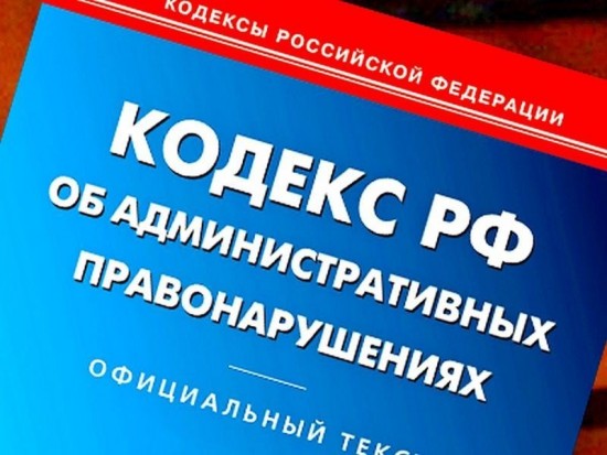 МВД: Привлечь за призывы участвовать в незаконных мероприятиях можно до их проведения